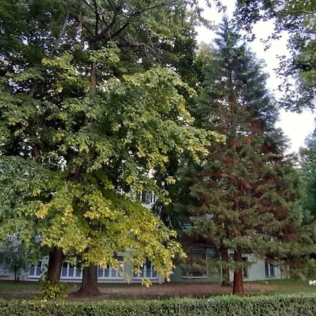 Illusion New Apartamento Sarajevo