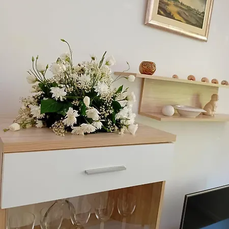 Illusion New Appartement Sarajevo