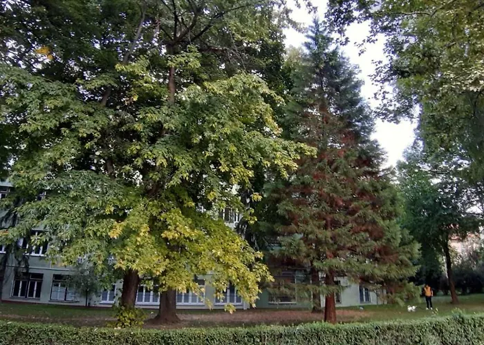 Illusion New Apartman Szarajevó