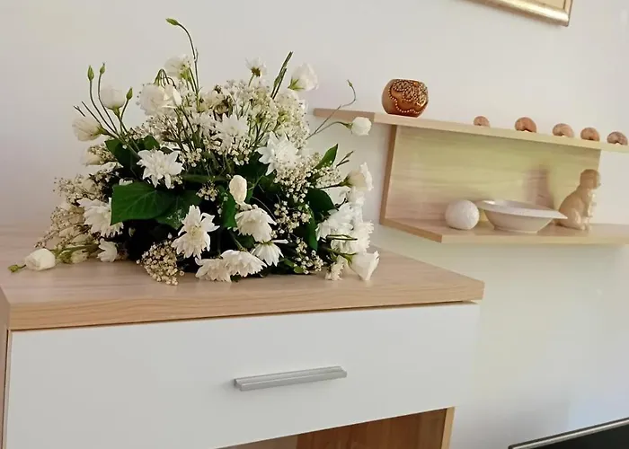 Illusion New Szarajevó